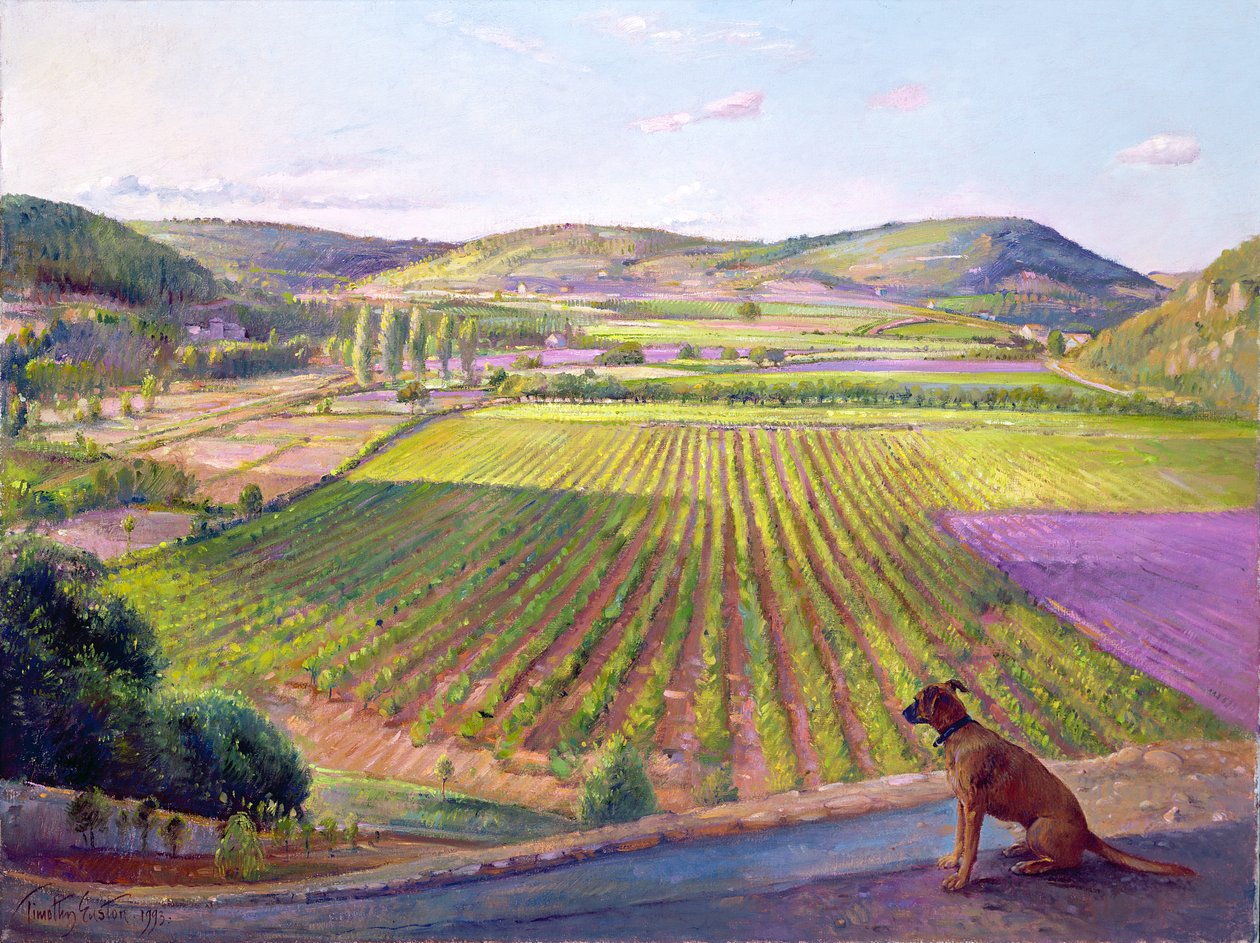 Regarder depuis les murs, Vieille Provence, 1993 - Timothy Easton