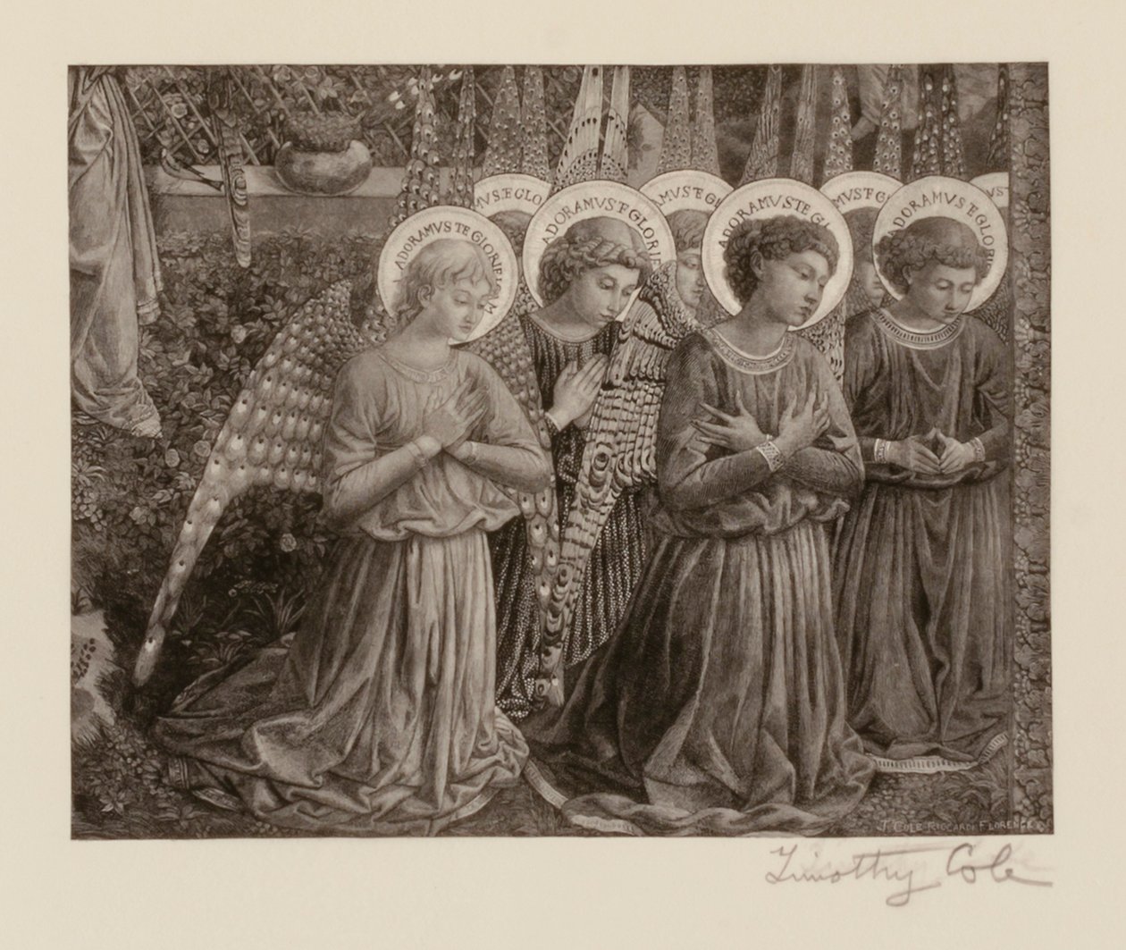 Anciens maîtres italiens - Timothy Cole
