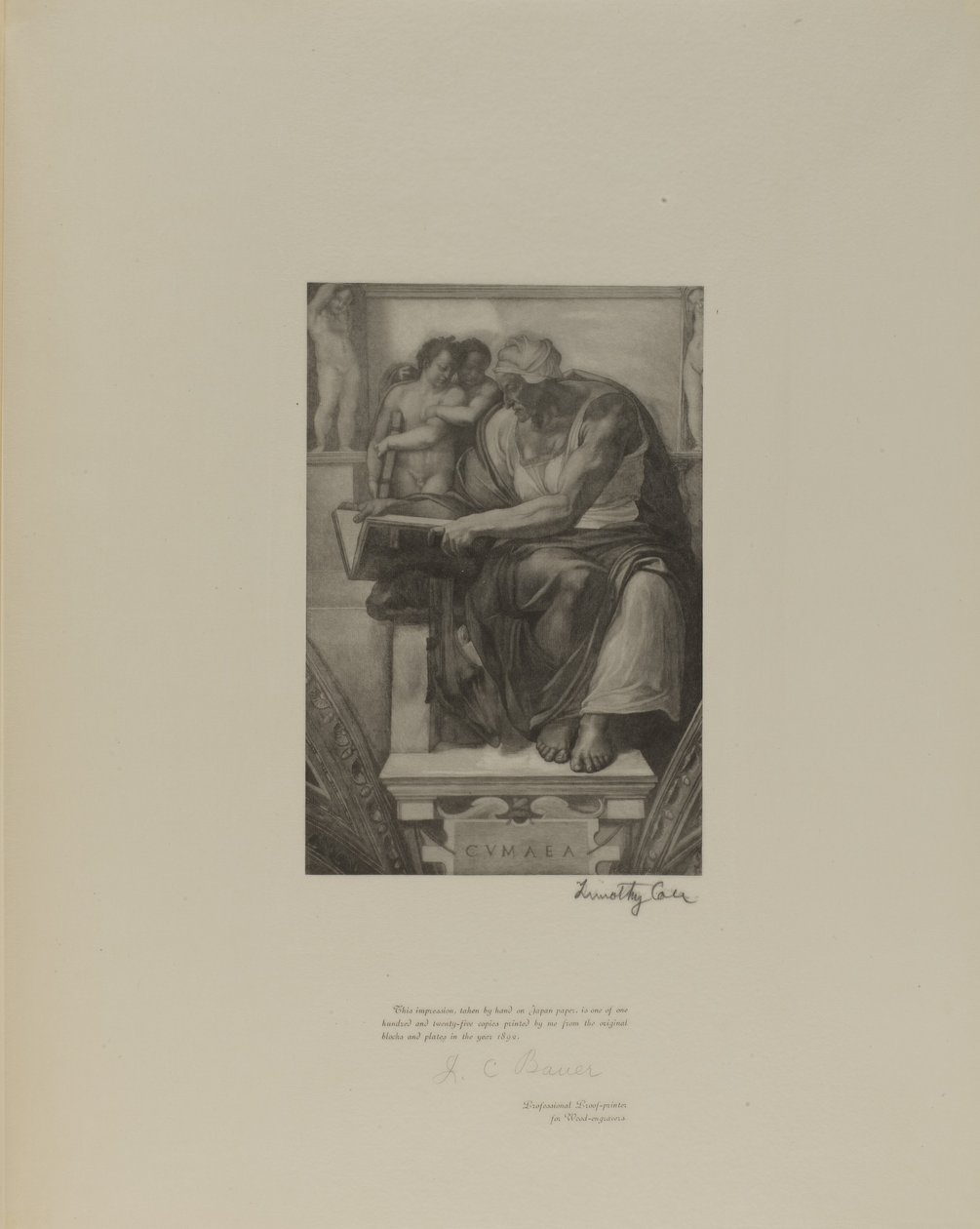 Anciens maîtres italiens - Timothy Cole