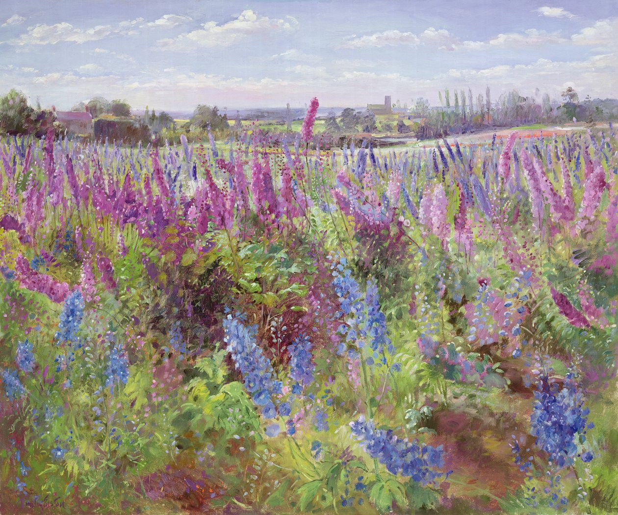 Champ de delphiniums et église - Timothy Easton