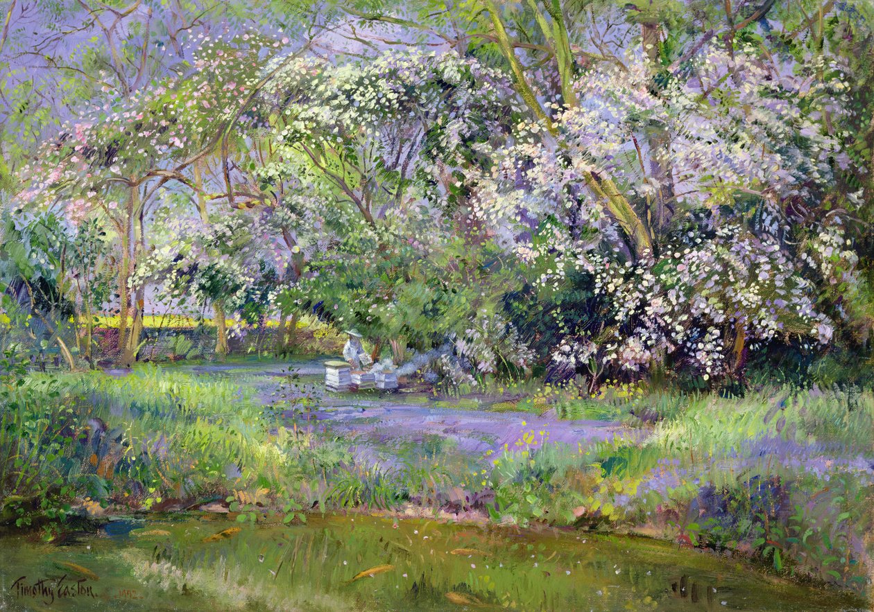 Ruches en forêt - Timothy Easton