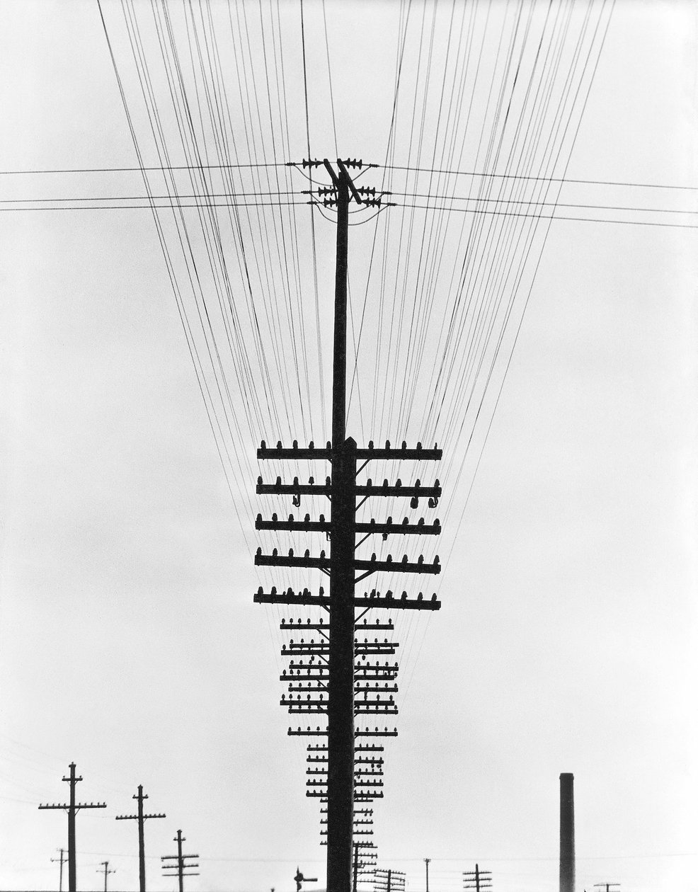 Fils télégraphiques, Mexique, 1925 - Tina Modotti