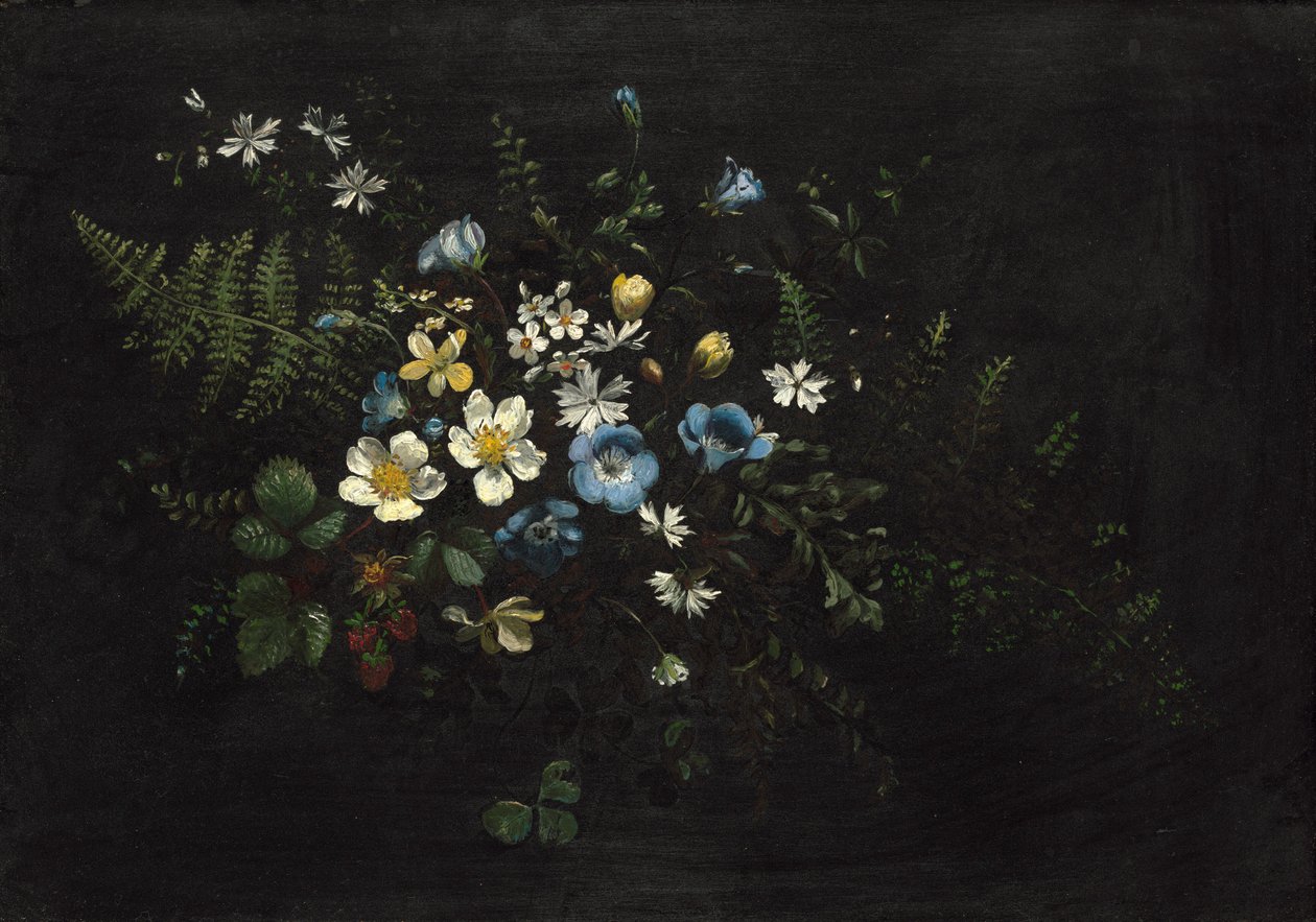 Branche de fleurs et fougères - Titian Ramsay Peale