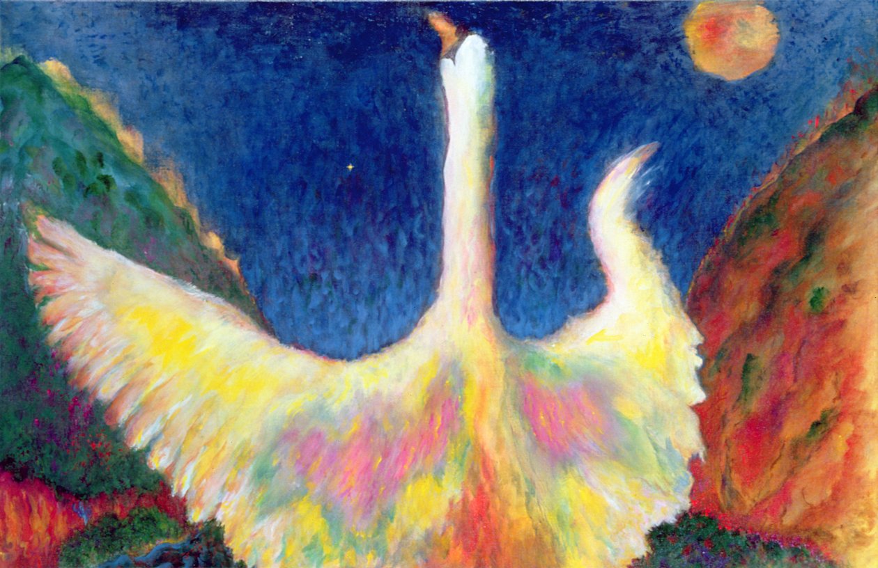 Léda et le cygne - Tom Cook