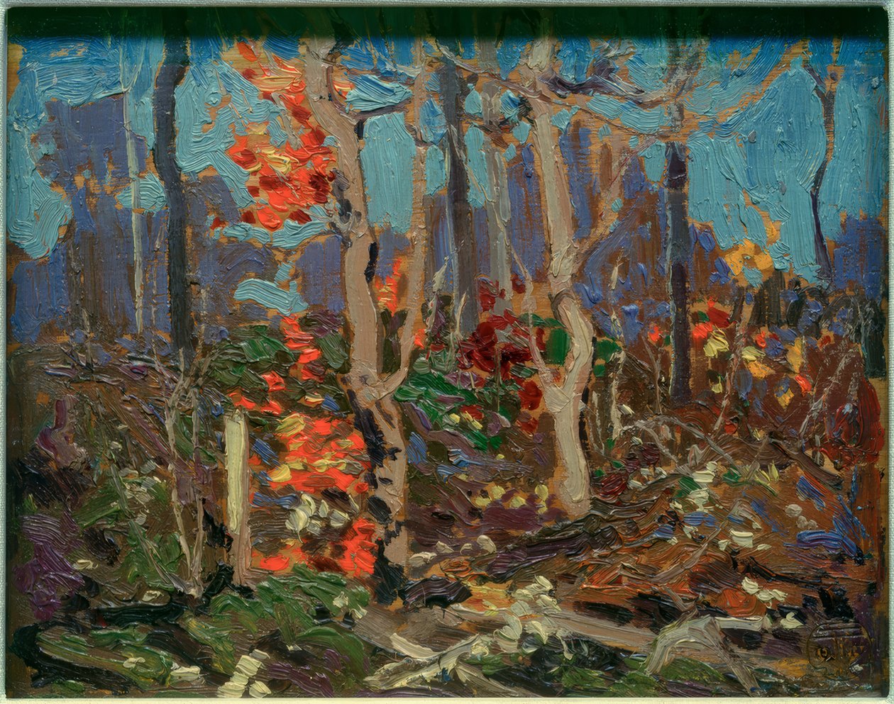 Chênes décharnés - Tom Thomson
