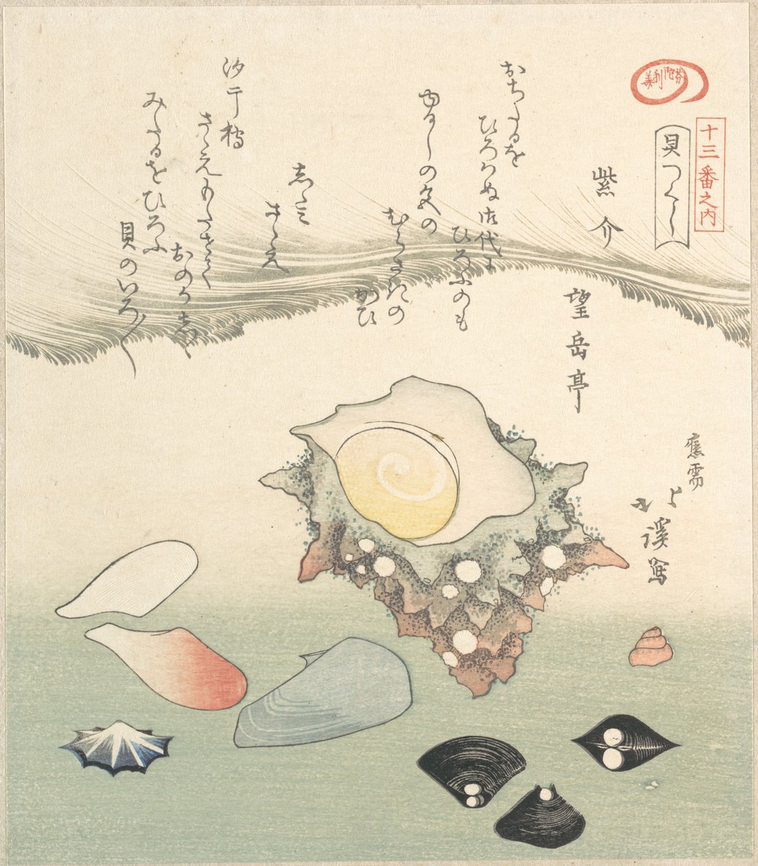Coquille de top et diverses coquilles, 19e siècle - Totoya Hokkei