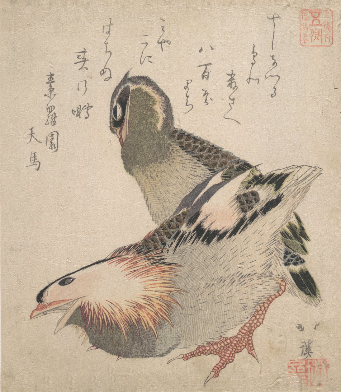 Deux oiseaux - Totoya Hokkei