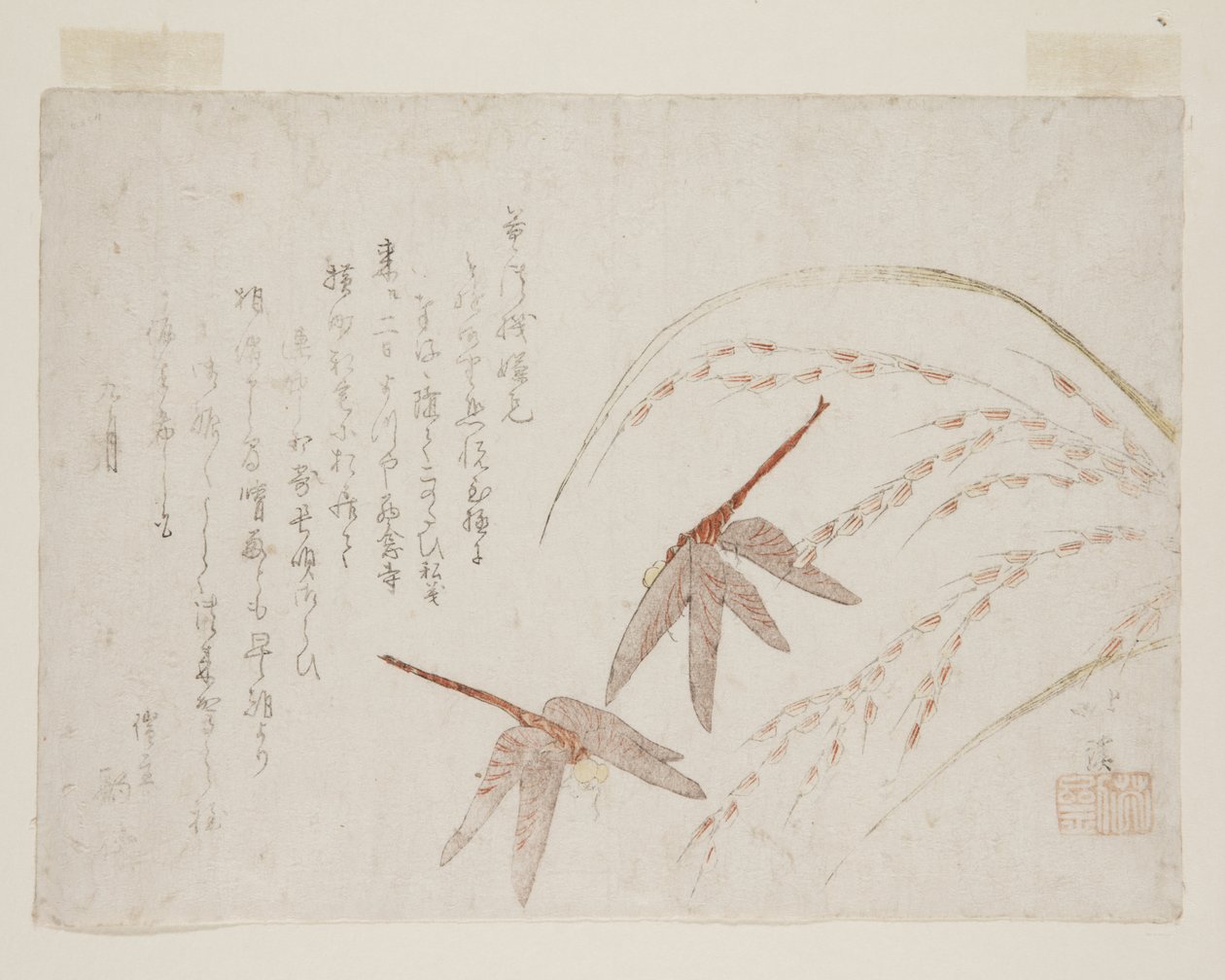 Libellules (estampe sur bois en couleur) - Toyota Hokkei