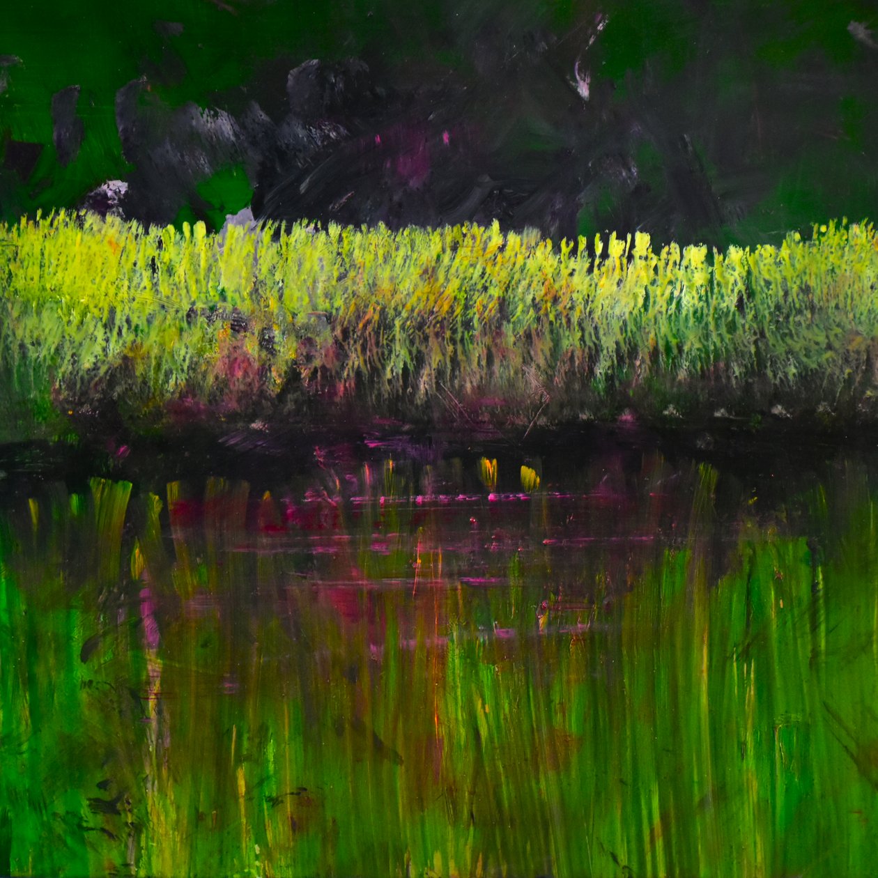 Marais - Nocturne, 2017 - Tracy Lambros