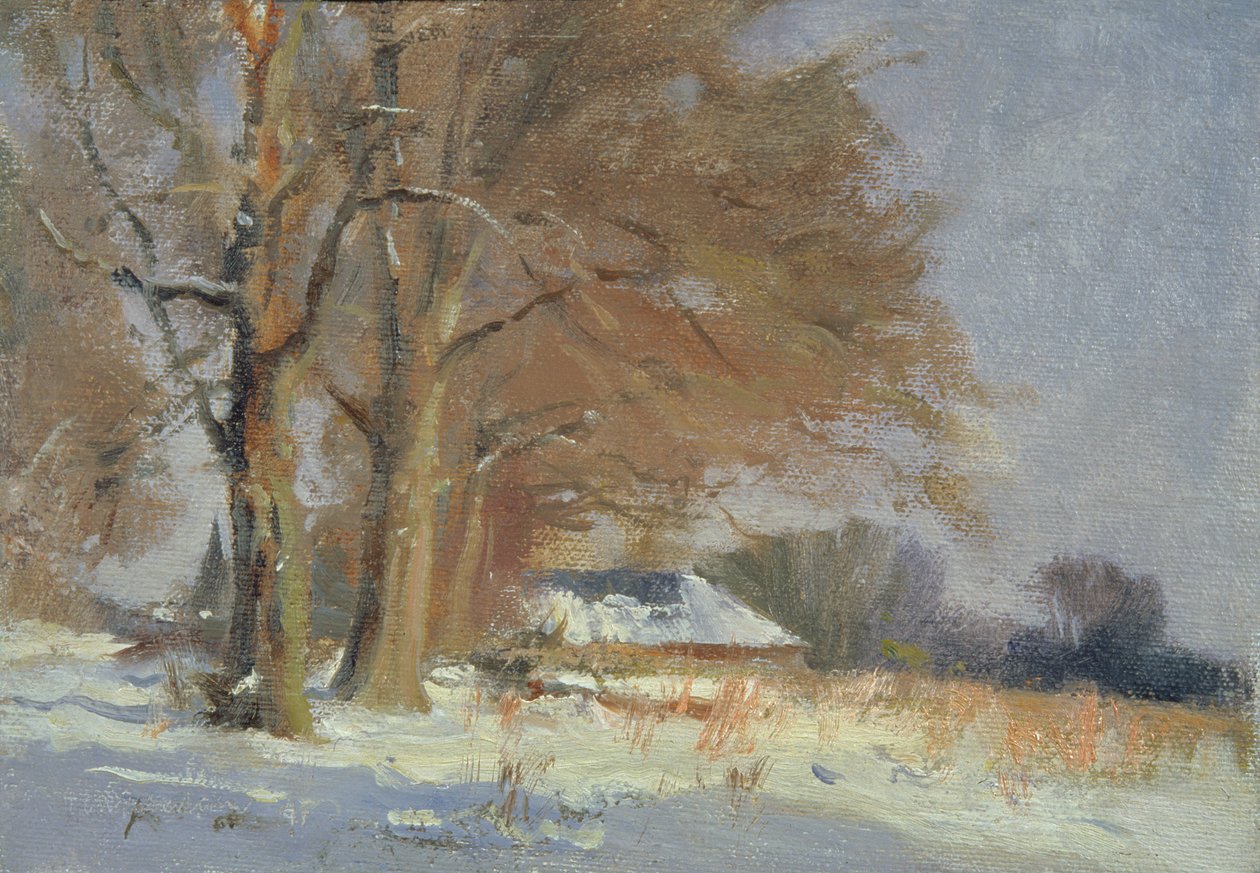 Tilleuls dans la neige - Trevor Chamberlain
