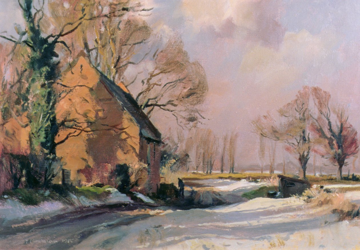 Dégel à Norfolk, 1985 - Trevor Chamberlain