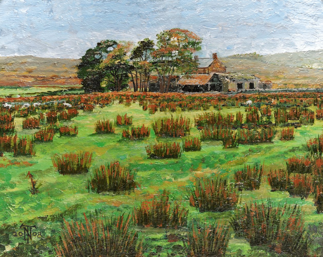 Ferme, Cumbria, 2008 - Trevor Neal