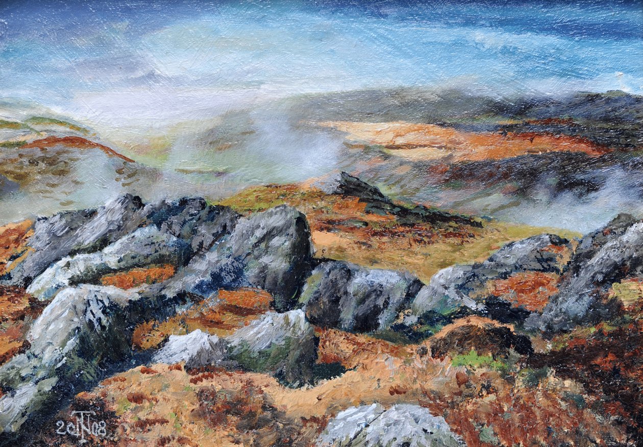 Sommet des Langdales, Cumbria, 2008 - Trevor Neal
