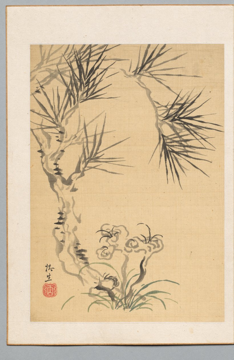 Pin et champignon - Tsubaki Chinzan
