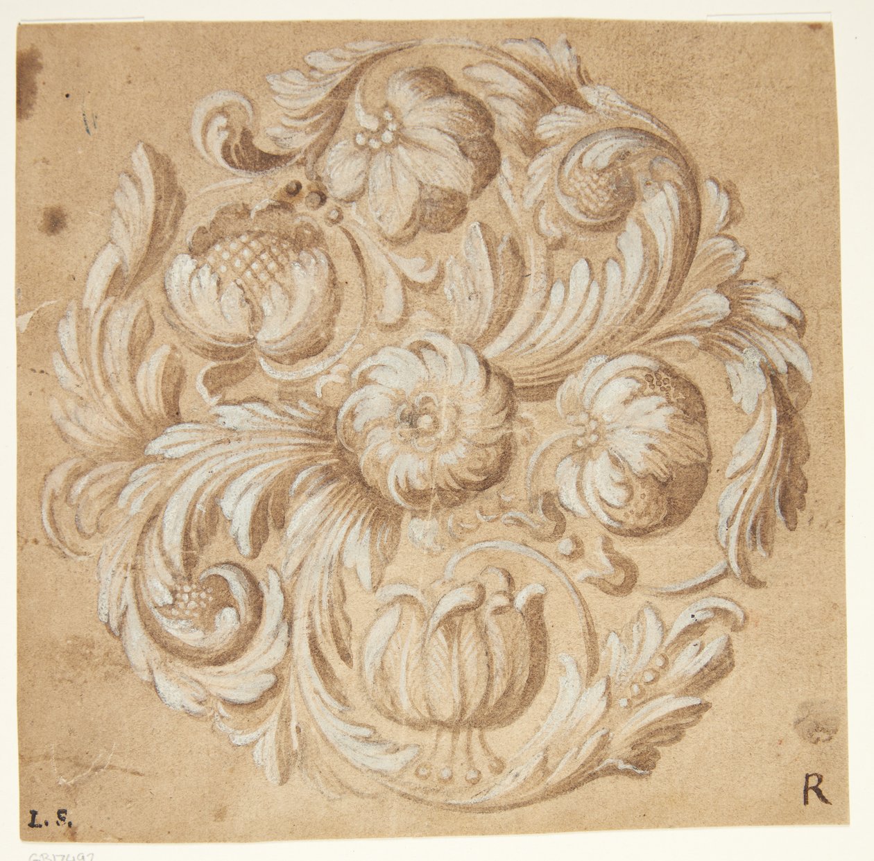 Ornement floral - Ubekendt