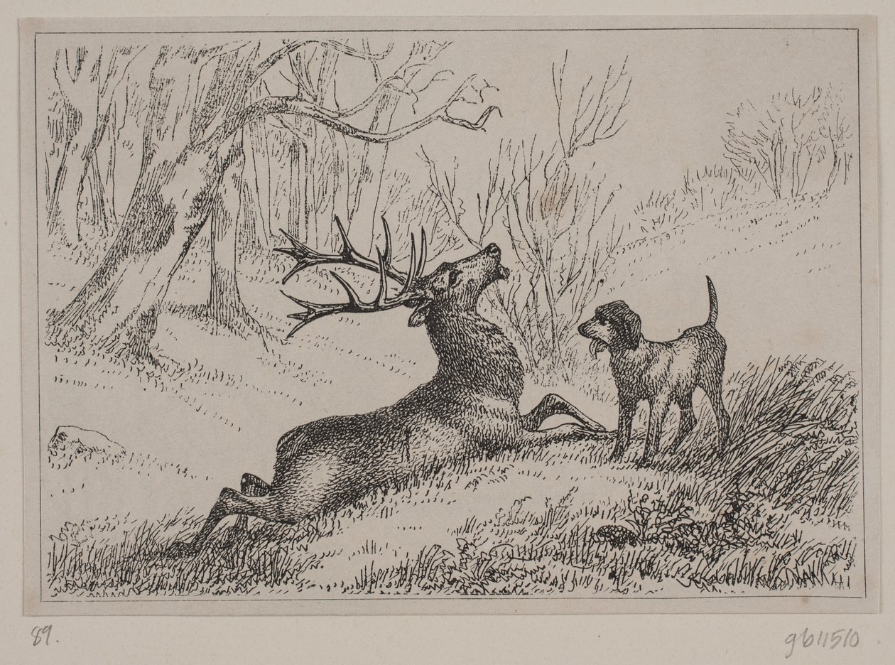 Illustration pour le poème "Hjorten" de Gotfred Rode - Ubekendt