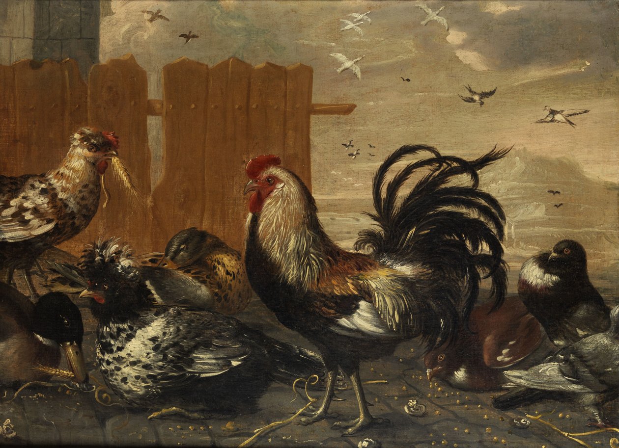 Coq dans la basse-cour - Unbekannt Unbekannt