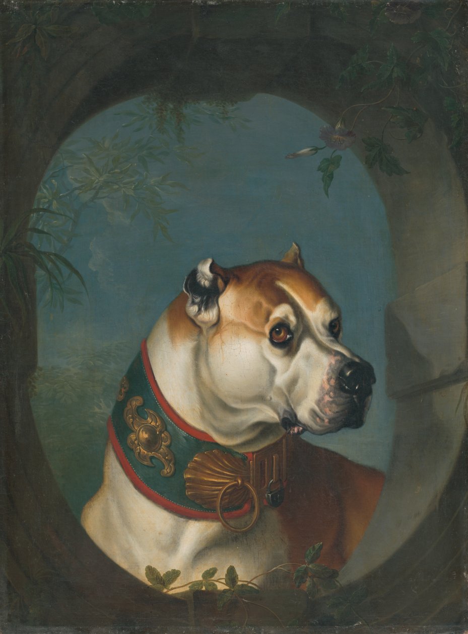 Portrait de chien - Unbekannt Unbekannt