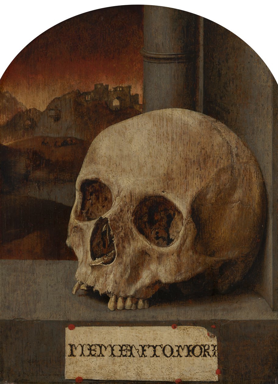 Nature morte de vanité - Unbekannt Unbekannt