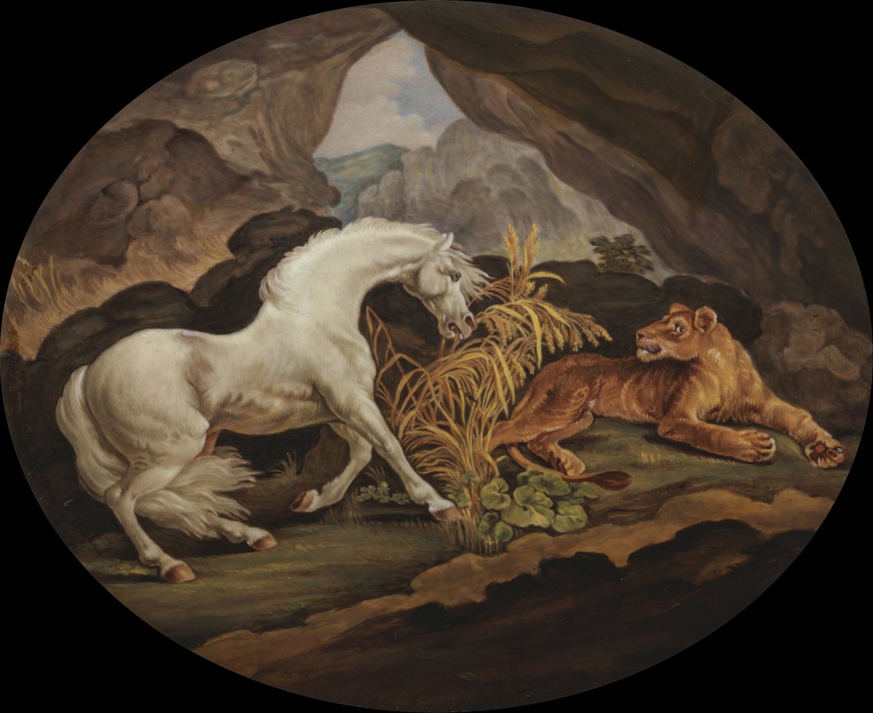 Un cheval effrayé par une lionne - Unbekannt Unbekannt
