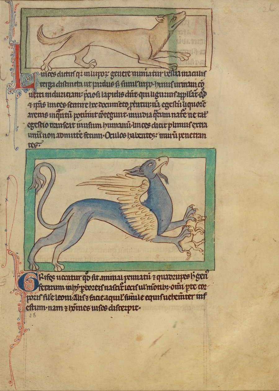 Un lynx; Un griffon - Unbekannt Unbekannt