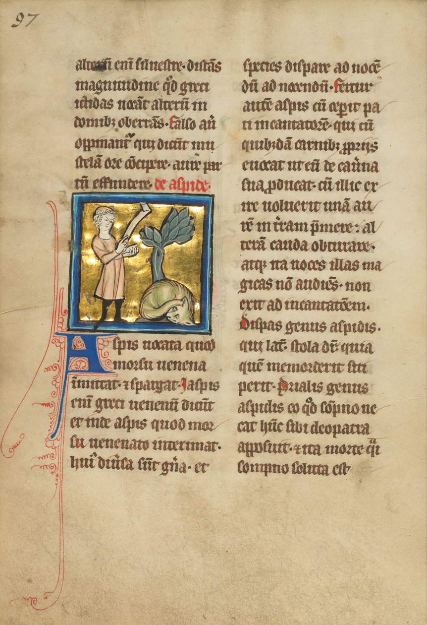 Un Homme et un Serpent - Unbekannt Unbekannt