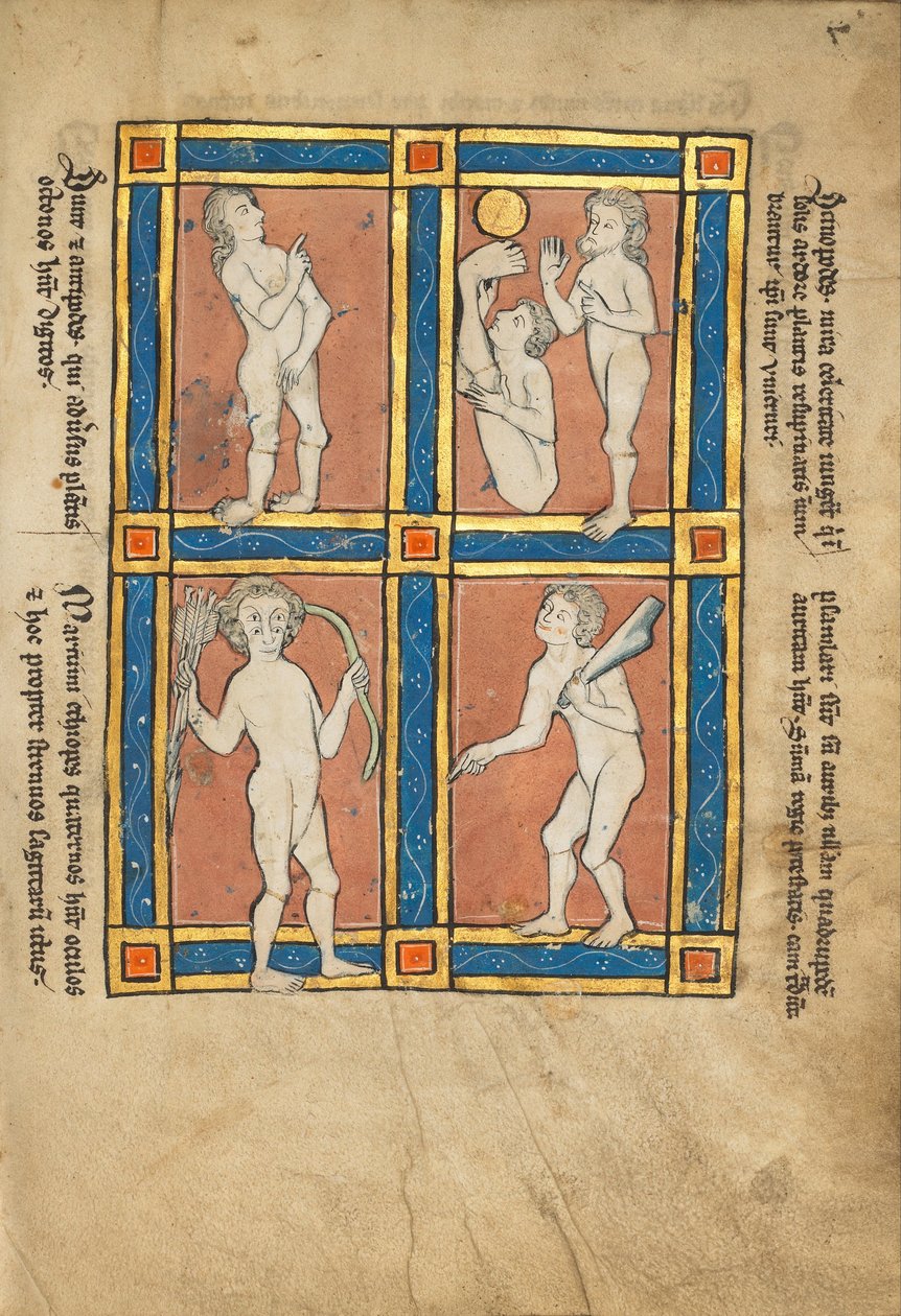 Antipode; Scinopode; Éthiopien côtier; Psalmlarus - Unbekannt Unbekannt