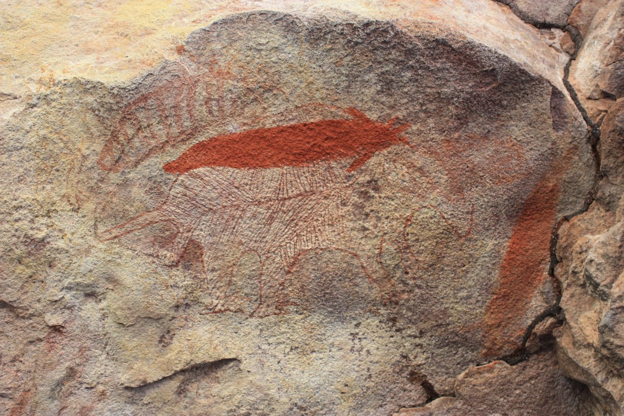 Poisson-chat à queue d