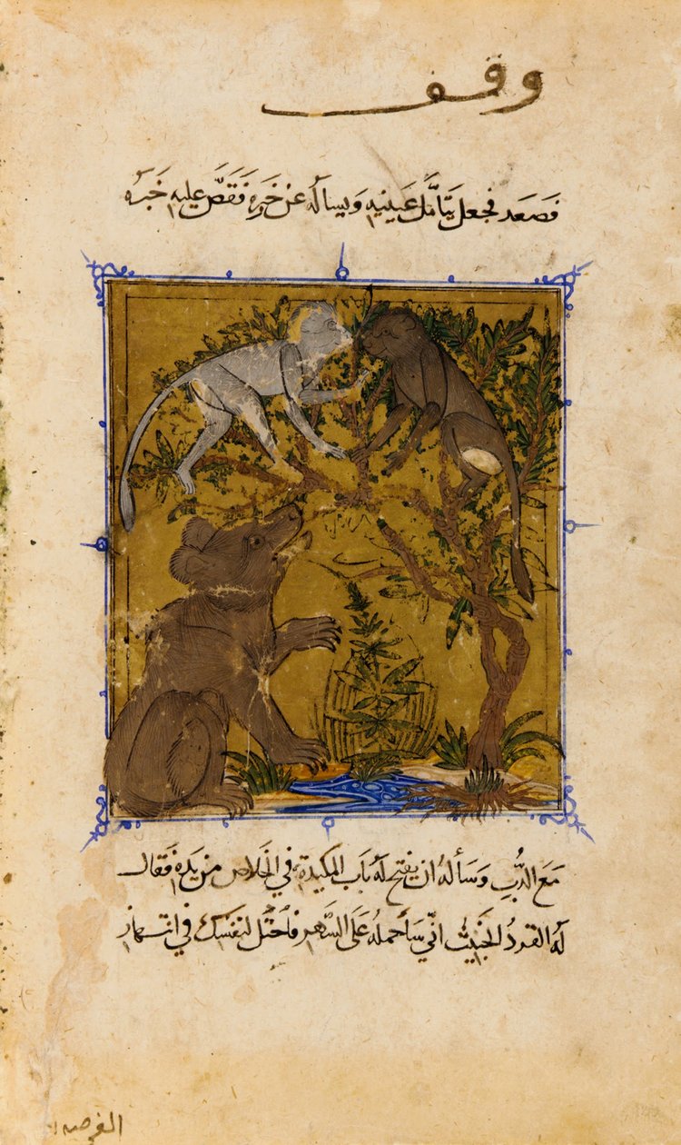 Folio du Sulwan al-Muta (Solace of pleasure) par Ibn Zafar; verso- Le Conte de l