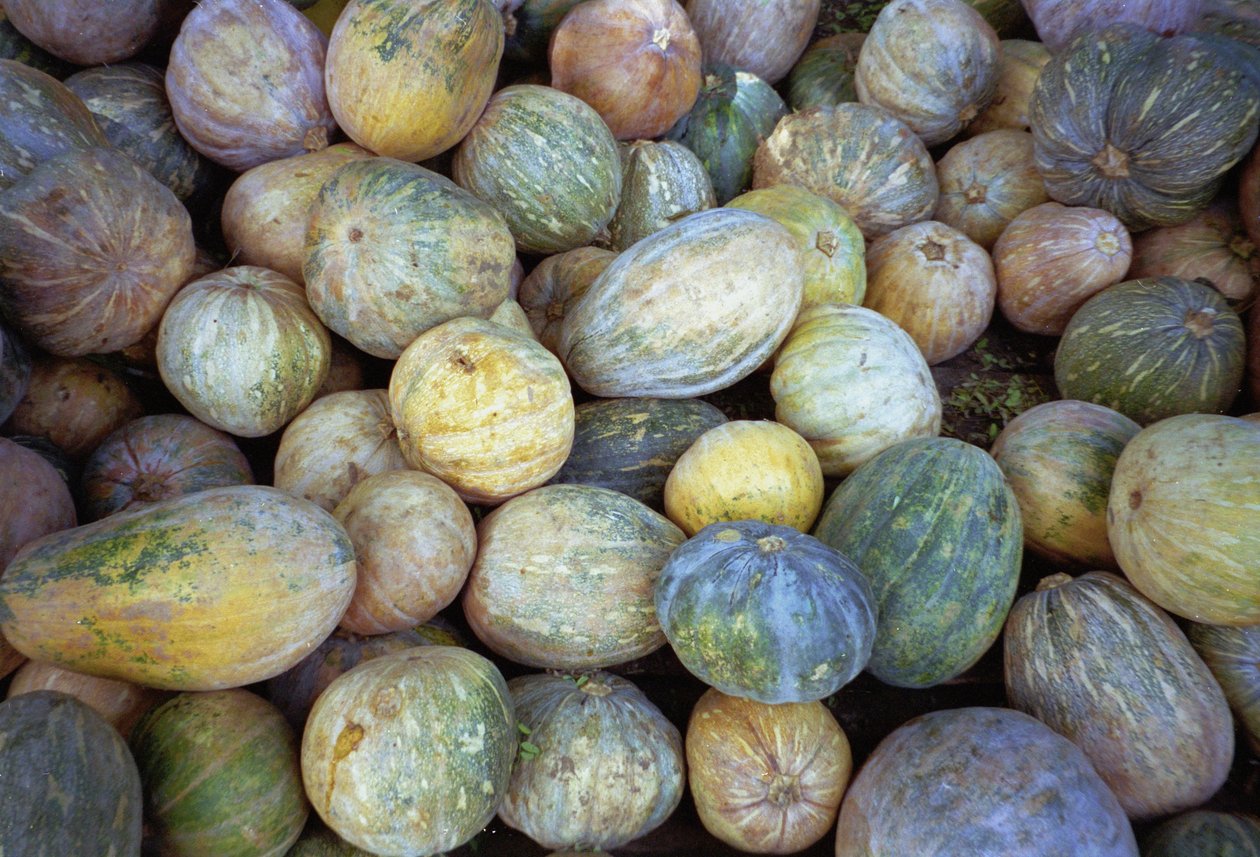 Melons, 1995 - Unbekannt Unbekannt