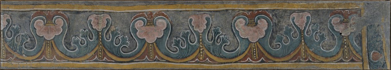 Bordure de plante de Sant Esteve d