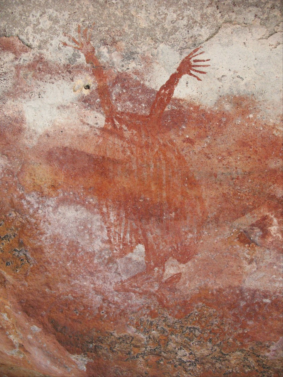 Renard volant rouge - Unbekannt Unbekannt