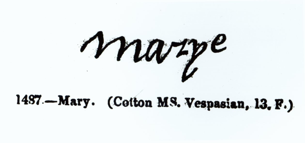 Reproduction de la signature de Marie I (1516-1558) - Unbekannt Unbekannt
