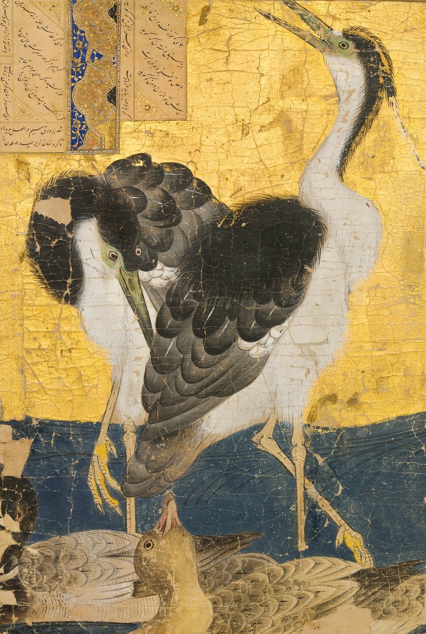 Deux hérons avec des canards - Unbekannt Unbekannt