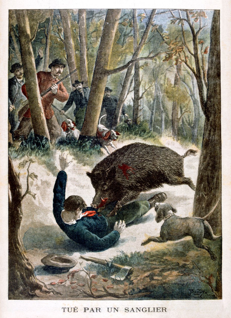 Un chasseur tué par un sanglier, 1901 - Unbekannt