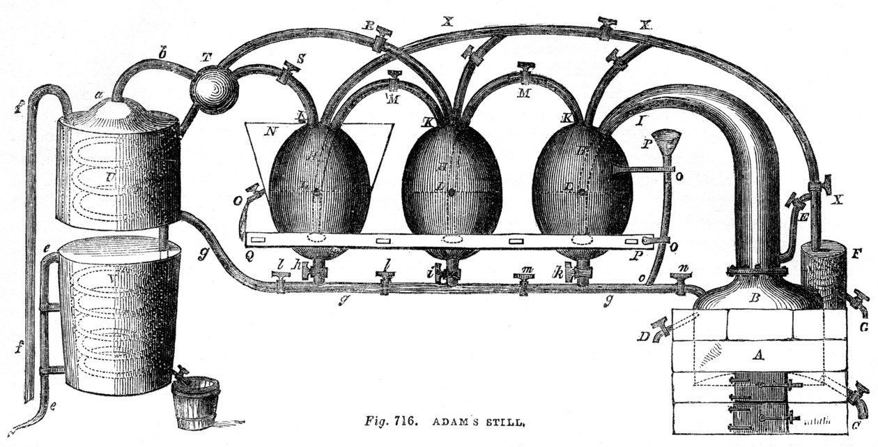 Adams encore, 1886 - Unbekannt