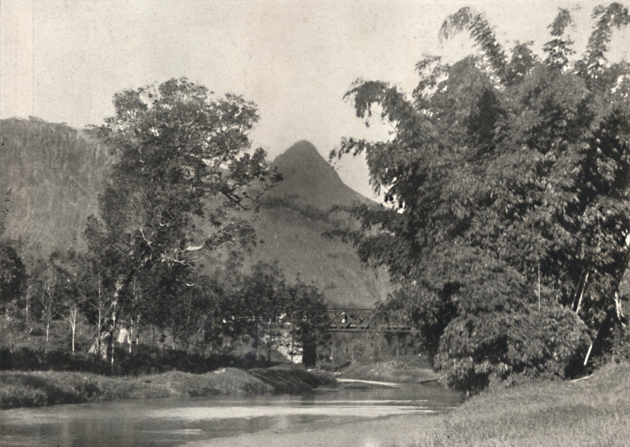 Adamspik von Gegend Maskeliya, 1926 - Unbekannt