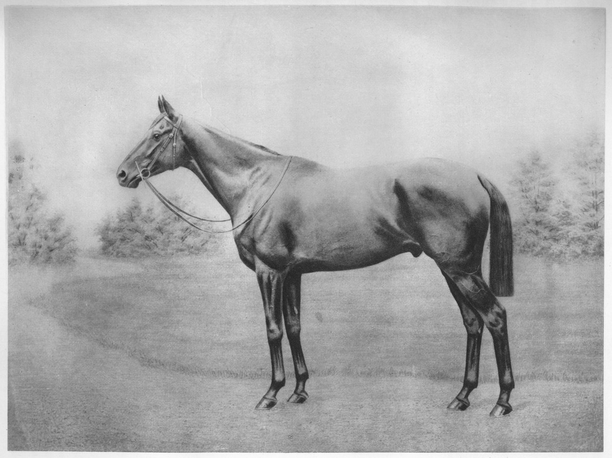 Amiral Togo III - Unbekannt