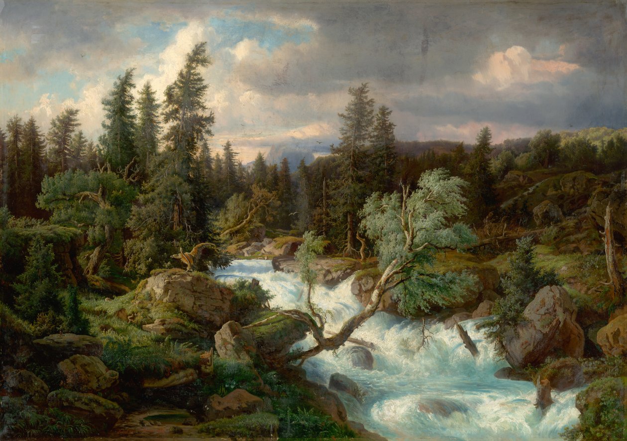 Torrent alpin - Unbekannt