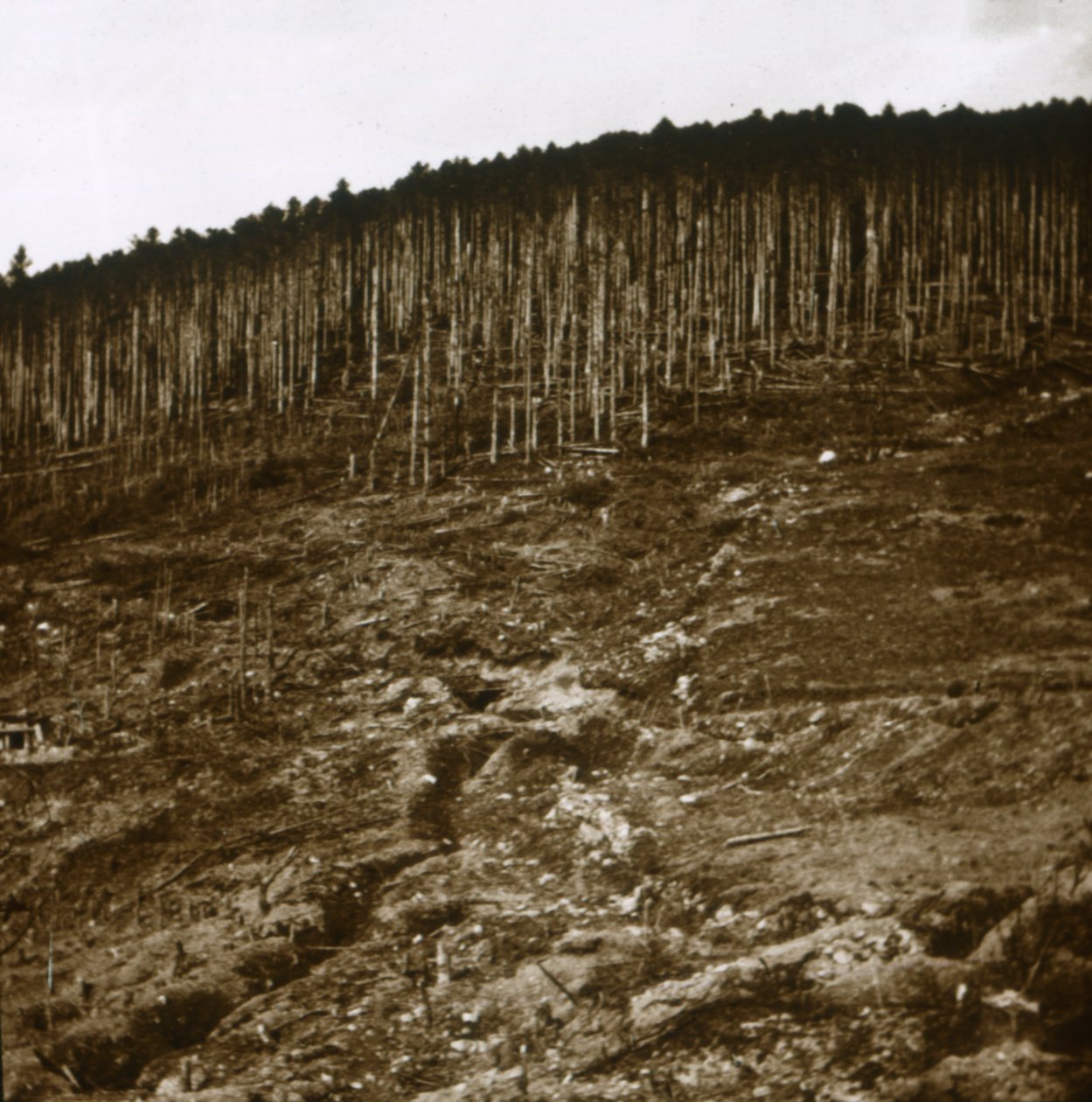 Alsace, vers 1914-1918 - Unbekannt