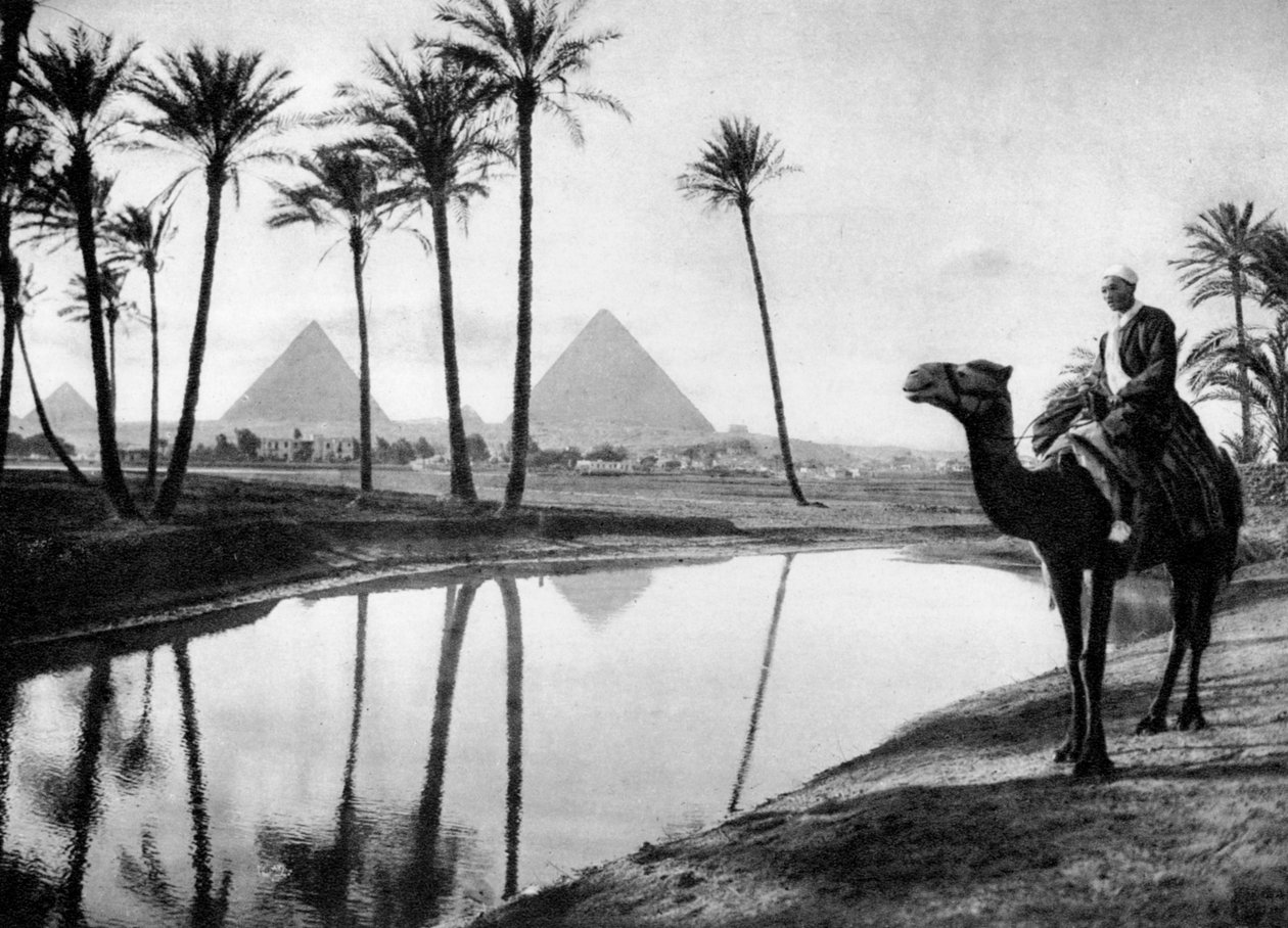 Une oasis près du Caire, Égypte, vers 1920s - Unbekannt