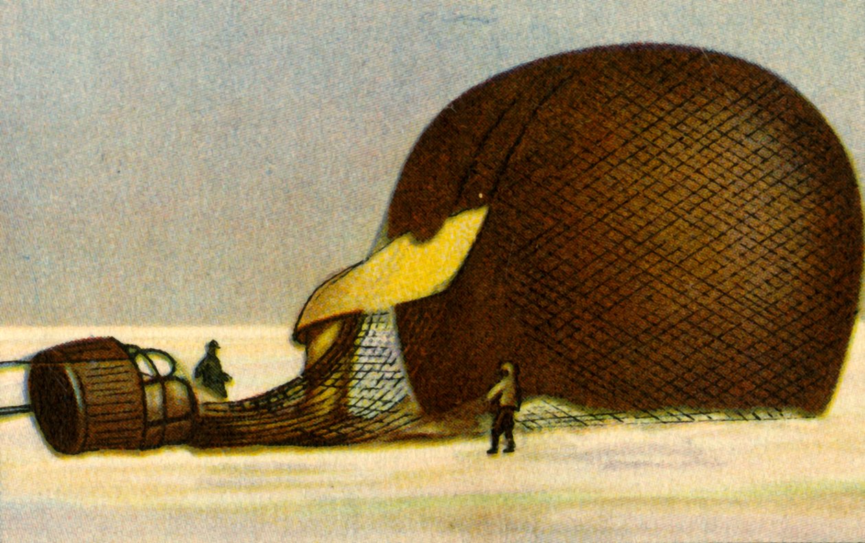 Ballon arctique d