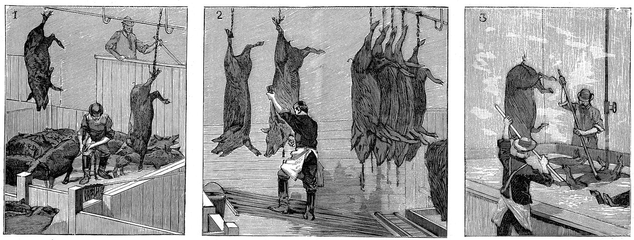 Abattoir de porcs de la compagnie Armour, Chicago, Illinois, États-Unis - Unbekannt
