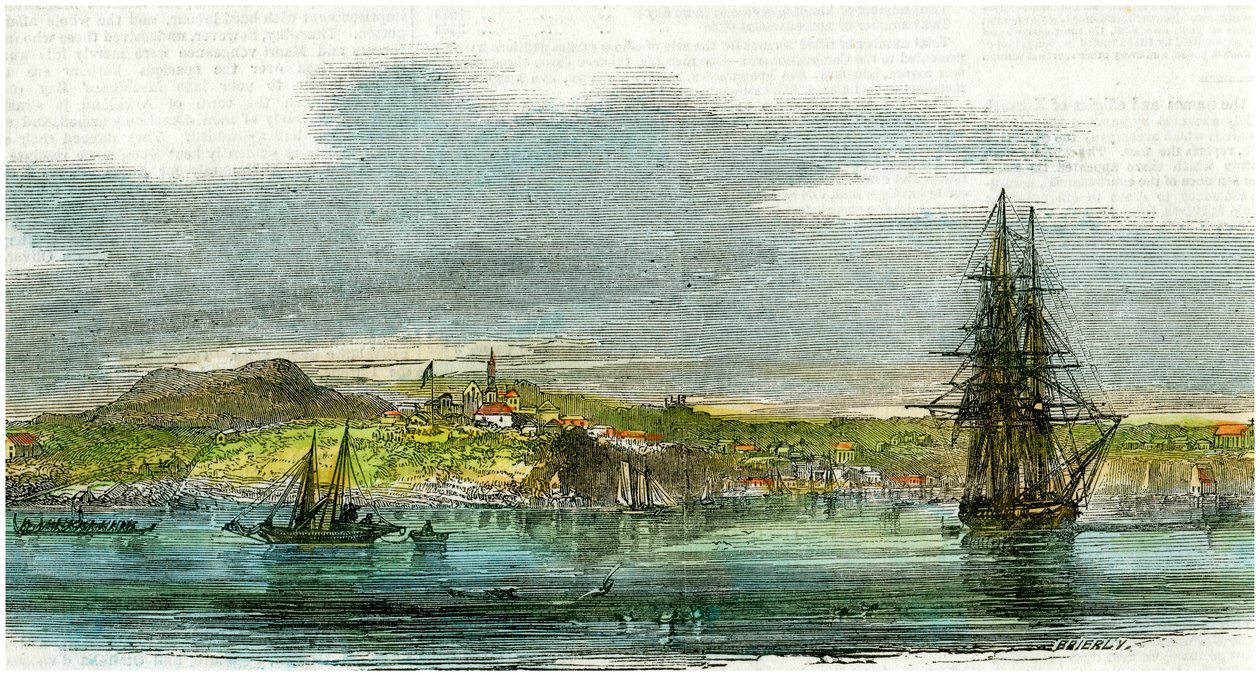 Auckland, Nouvelle-Zélande, vers 1880 - Unbekannt