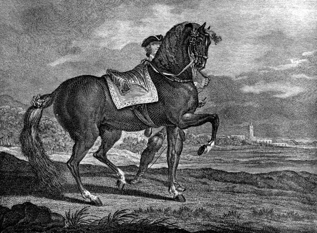 Barb, 1722 - Unbekannt