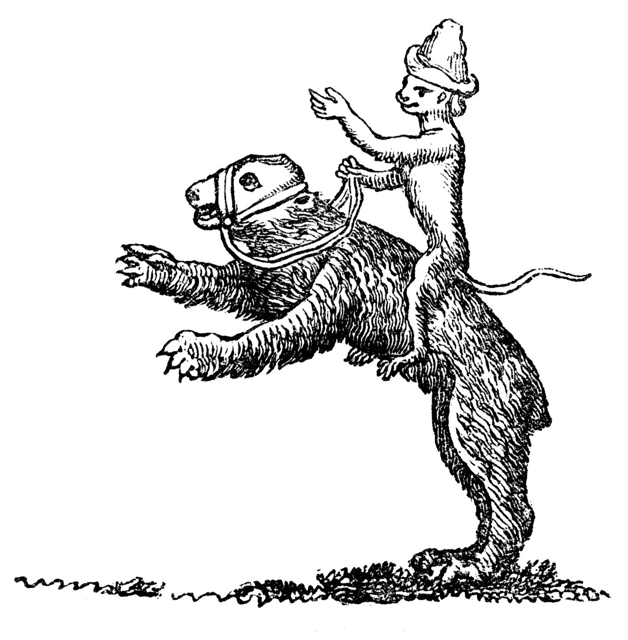 Ours et singe, 13ème siècle, 1833 - Unbekannt