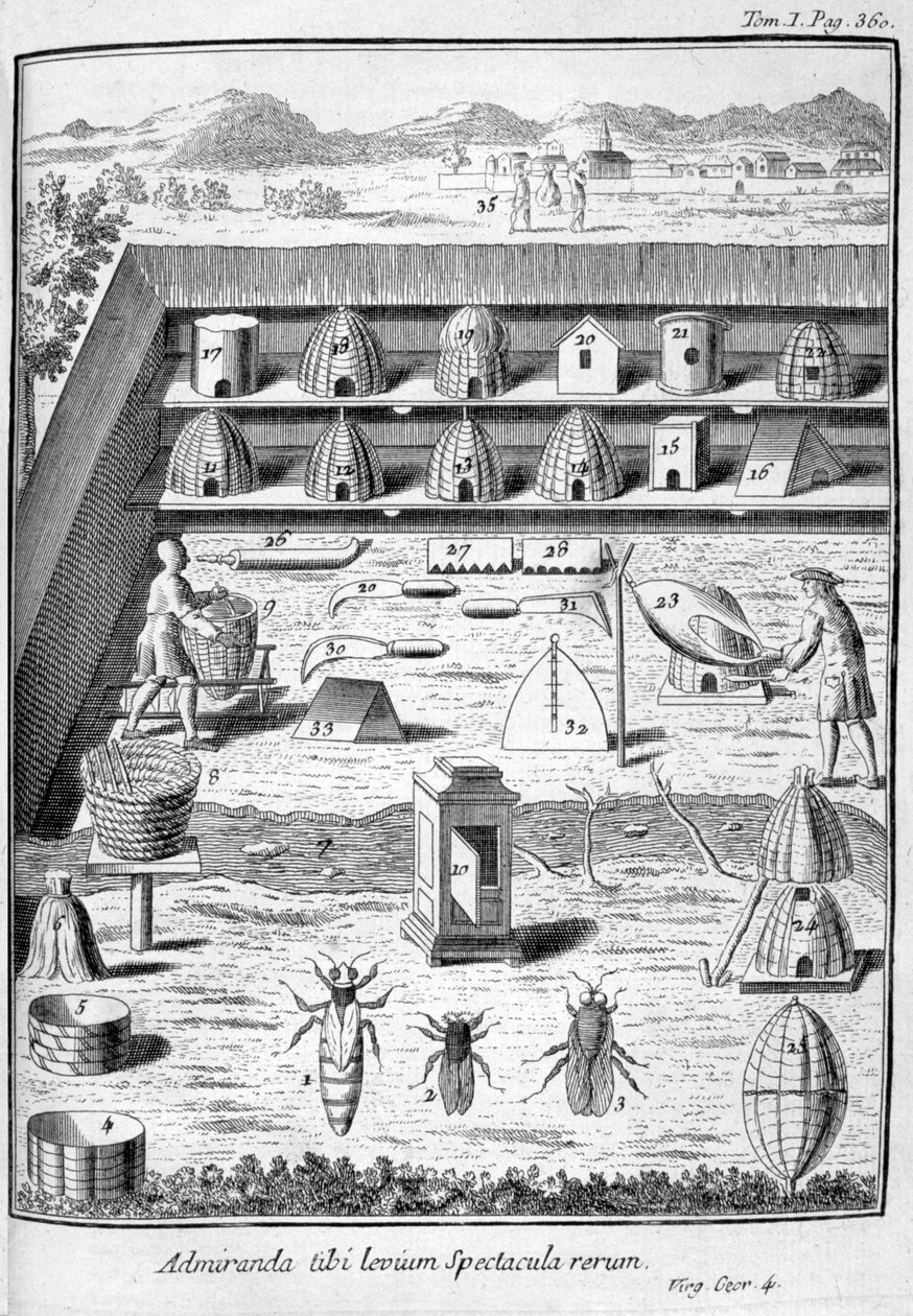 Apiculture, 1775 - Unbekannt