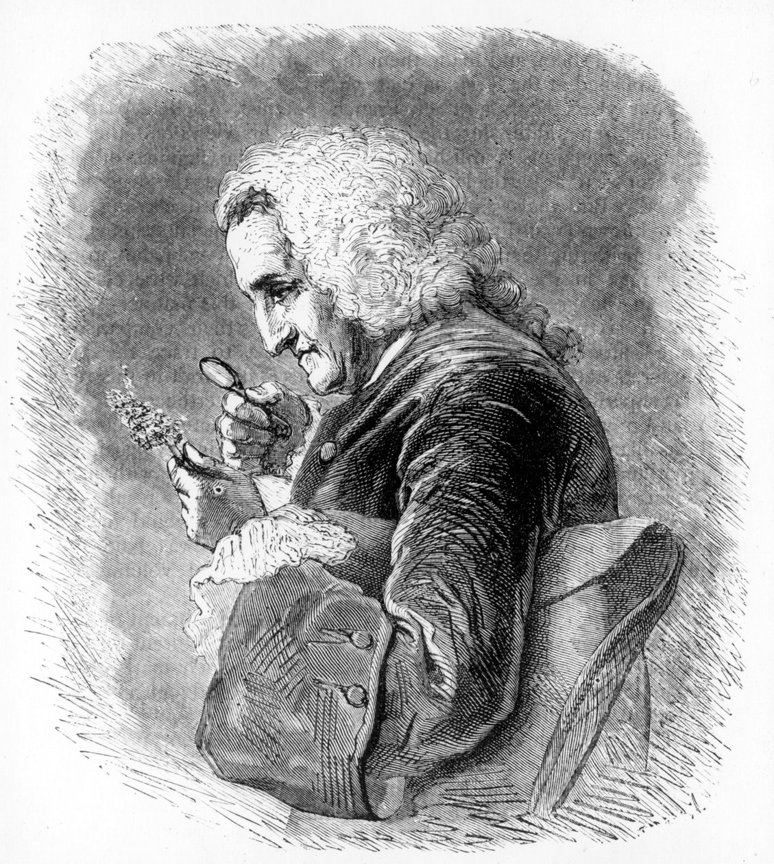 Bernard de Jussieu, botaniste français du XVIIIe siècle, 1880 - Unbekannt