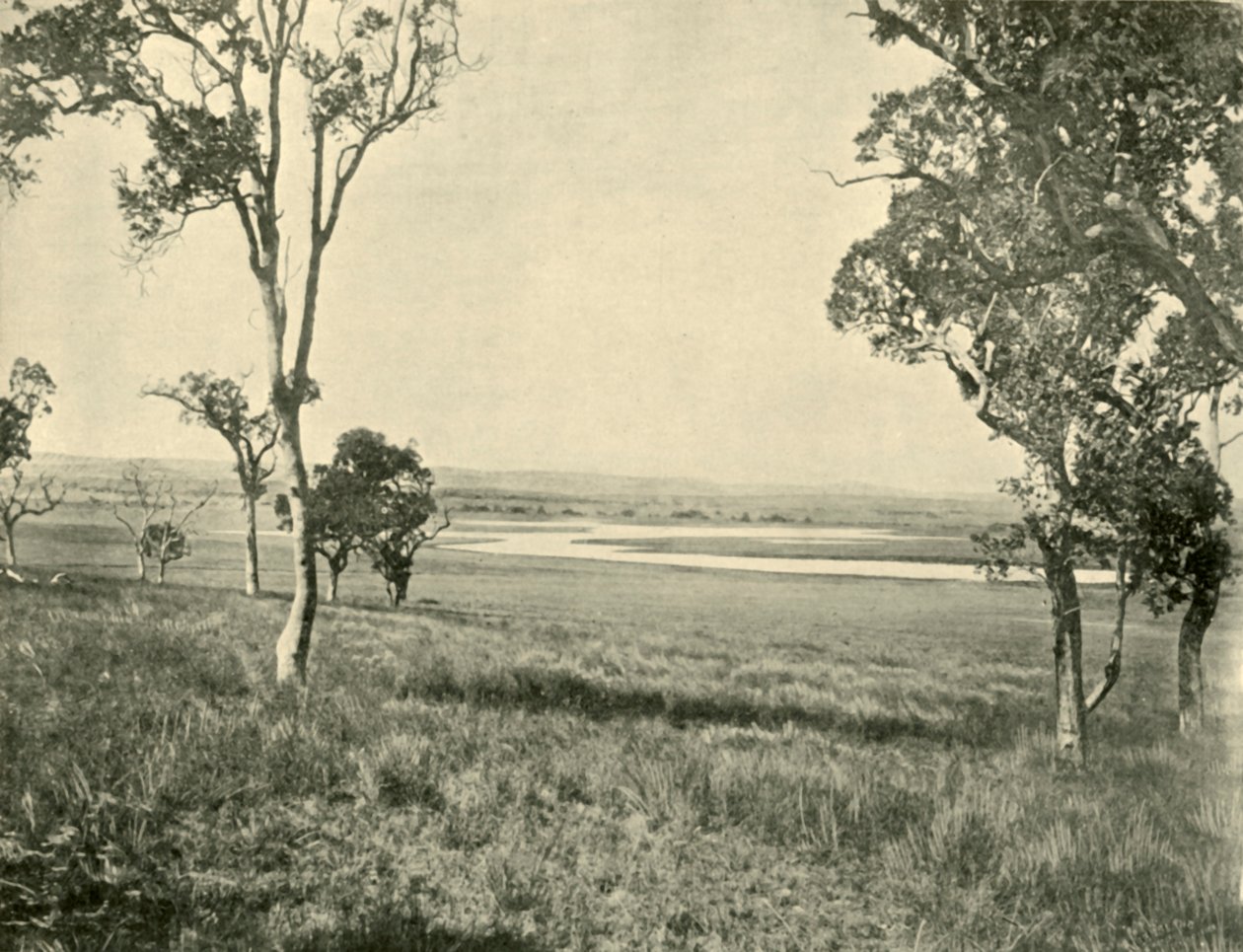 Lagon du Cygne Noir, près de Warwick, Queensland, 1901 - Unbekannt
