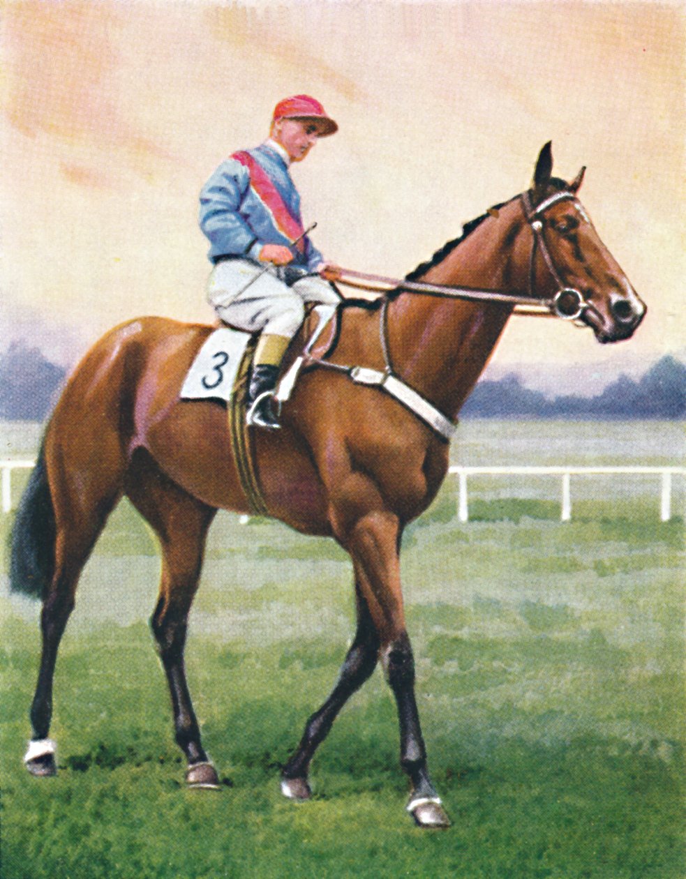 Libraire, Jockey : G. Richards - Unbekannt